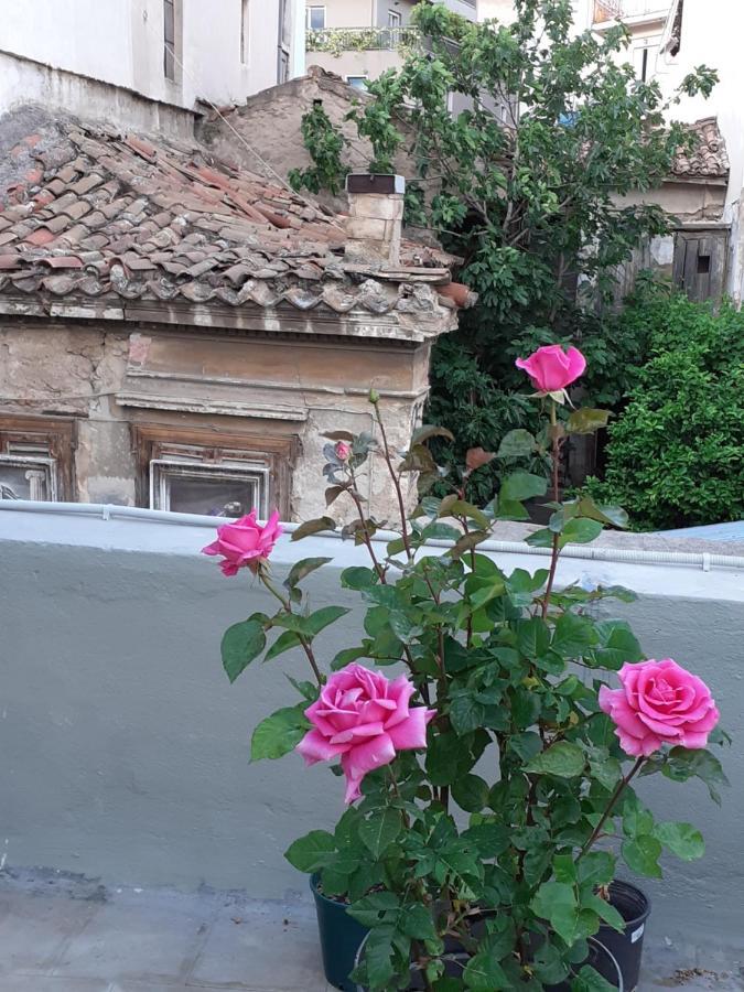 17 Flats And Roof Garden Leilighet Athen Eksteriør bilde